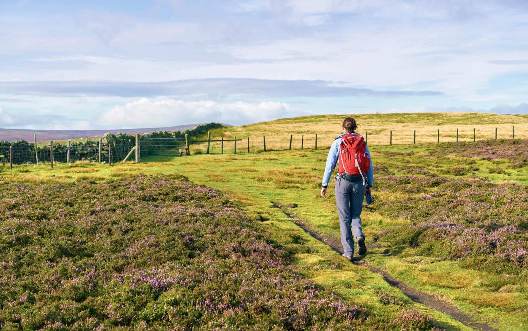 Walking Holidays in the UK — Contours Walking Holidays