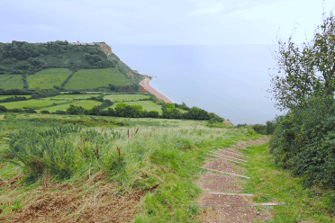 Earth steps trimmed with wood edging head down a grassy hillside towards the sandy curve of the bay at Salcombe Mouth. The headland, with its reddish cliffs and patchwork of fields and woodland, stands in the distance.