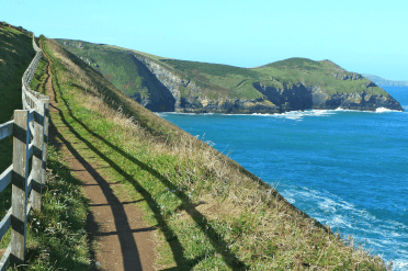 A footpath winds along a British cliffside in summer, with little protection from the sun's rays.