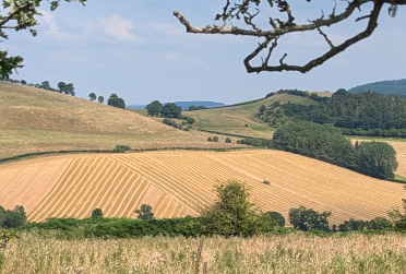 A combine harvester hard at work on a slope across the valley.