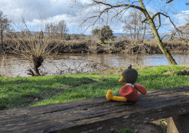 Contours' crocheted duck mascot sits on a wooden bench overlooking the Usk River, which flows between grassy banks punctuated with pollarded willows.