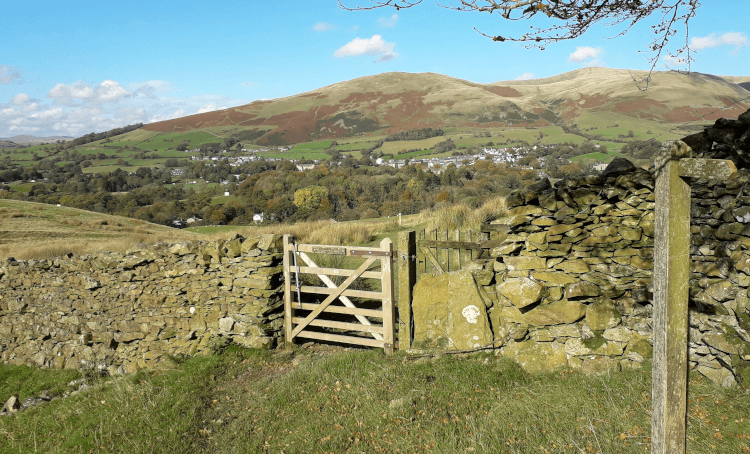 The Dales Way leads through a wooden gate in a stone wall and down into the valley below, where the stone-built town of Sedbergh awaits at the bottom, surrounded by trees and the Yorkshire countryside.