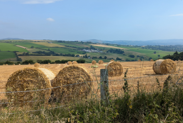 Freshly made straw bales side in this field along the Shropshire Hills walk, with patchwork green fields in the background.