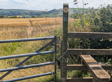 A stile on the Shropshire Hills route. It leads out onto a path through a field of wheat, with green hills in the distance.