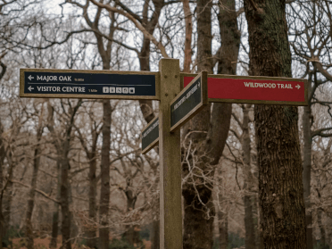 A wooden signpost points out the Major Oak Trail in Sherwood Forest.