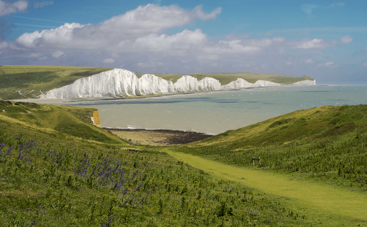 A smooth, grassy path dips down towards the coastline, with the white chalk cliffs of Seven Sisters just across the way over Birling Gap.