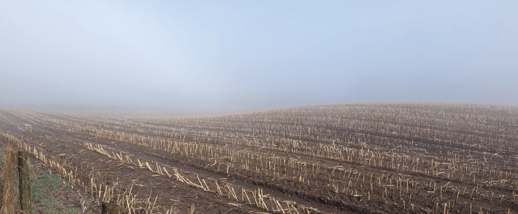 A rolling field disappears into dense mist.