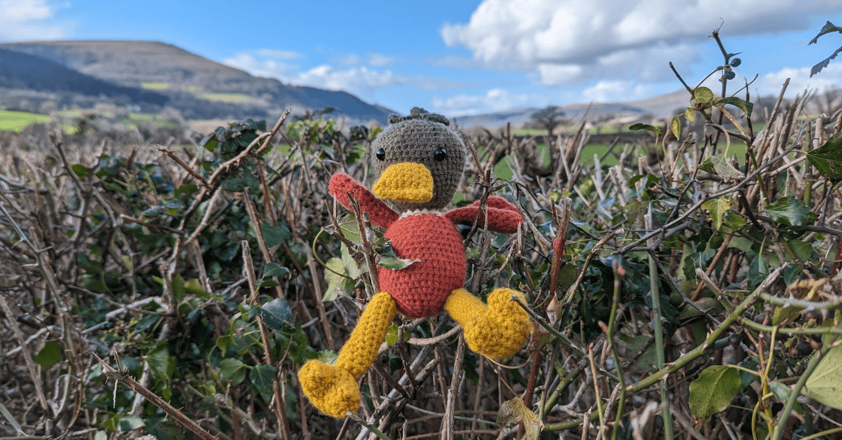 The Contours Holidays mascot, a crocheted mallard duck, sits on a recently trimmed hedge with the hills of the Brecon Beacons in the background.