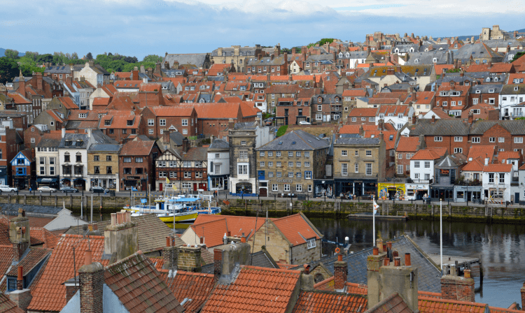 A view over Whitby's red roofs, with the harbour in the middle and further rows of houses marching up the hillside on the far side.