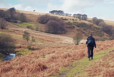 A hiker walks along a well-maintained path through orange grassland, with tree-topped hills above and a river down to the left.