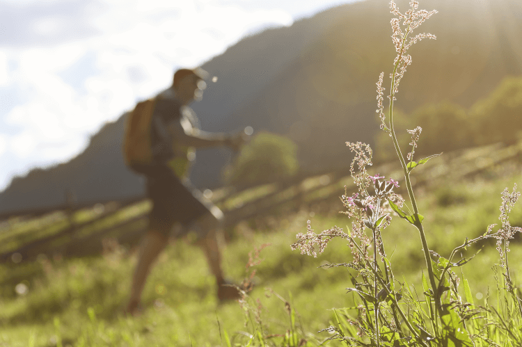 A walker hikes uphill in summer weather.