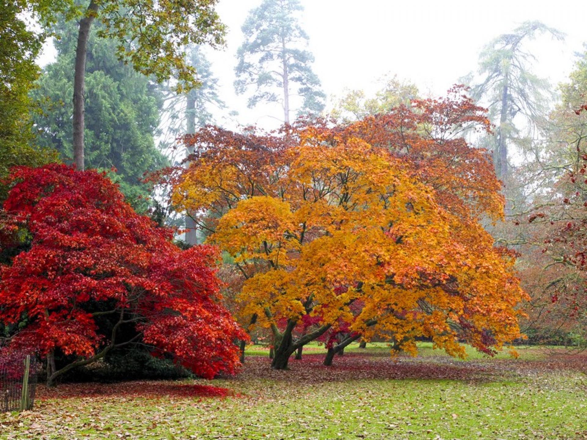 The Westonbirt Arboretum — Contours Walking Holidays