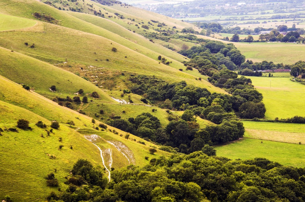 Devil's Dyke on the South Downs Way — Contours Walking 