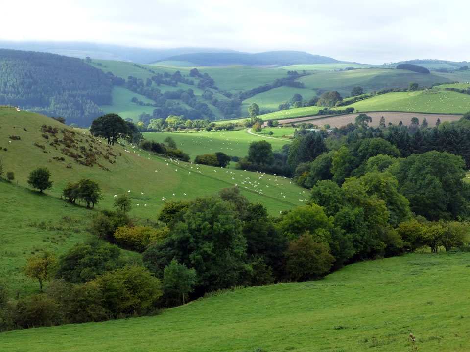 Glyndwr's Way — Contours Walking Holidays