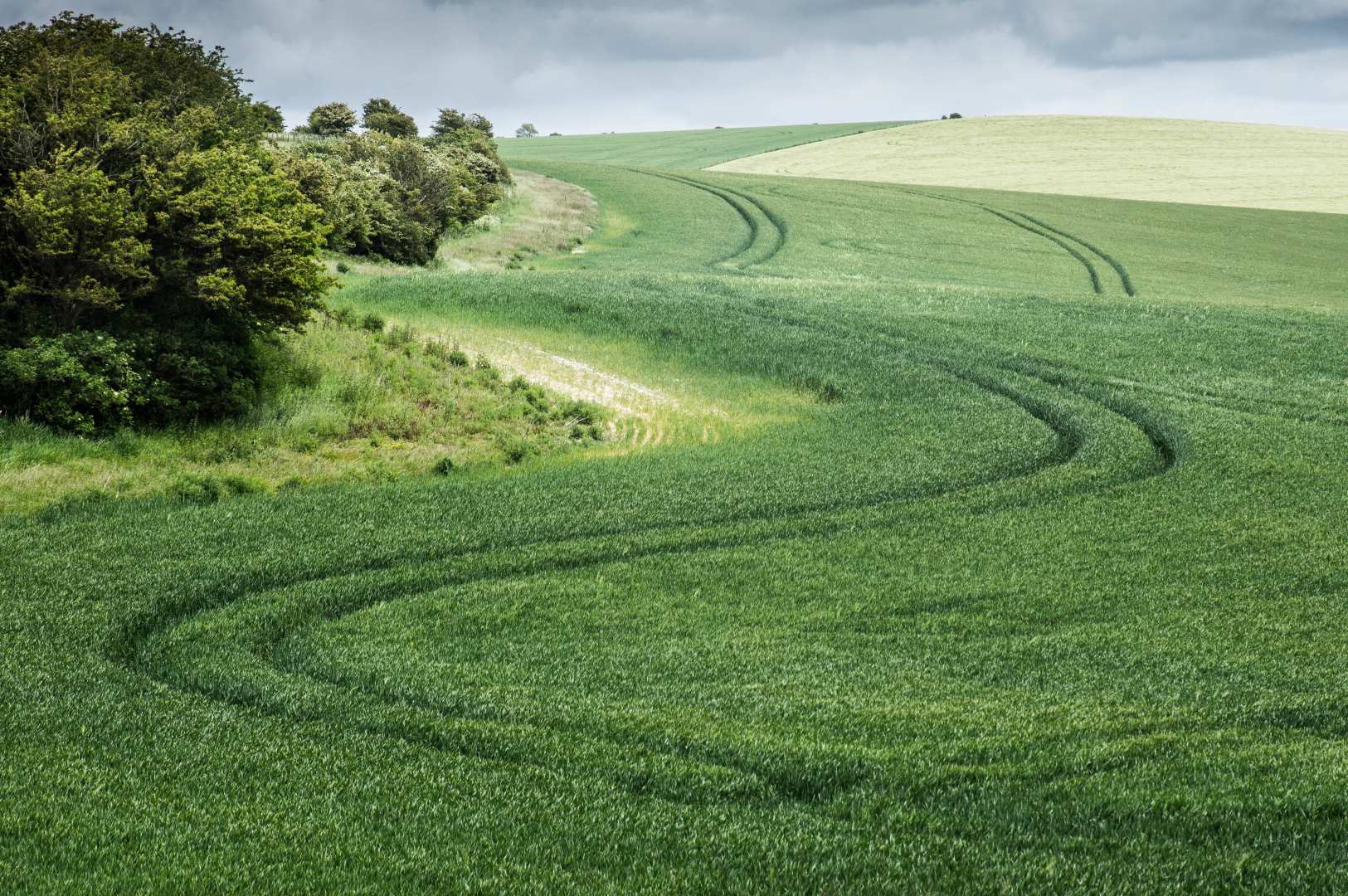 South Downs Way Walk — Contours Walking Holidays