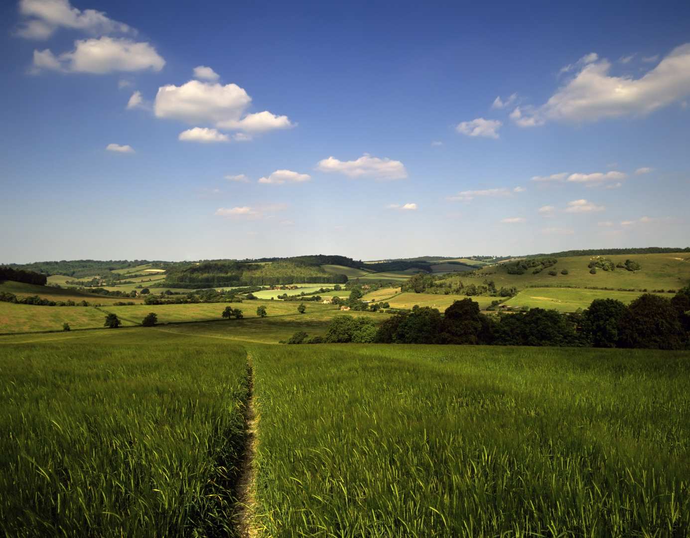 The Ridgeway — Contours Walking Holidays