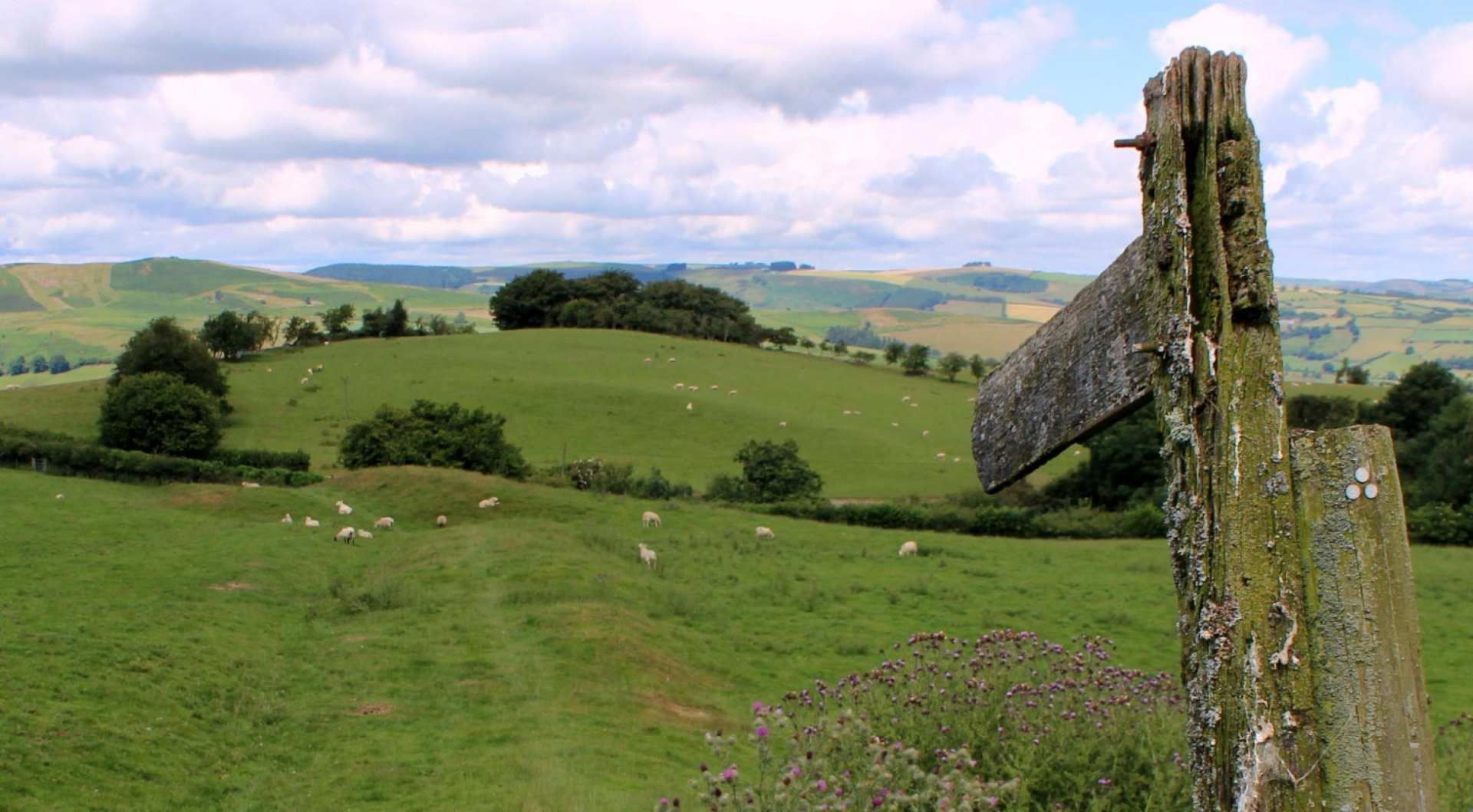 Walk Offa's Dyke Path in 12 to 16 days — Contours Walking Holidays